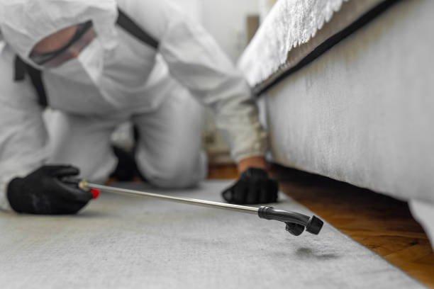 Professional Termite Control technician working in Lockwood, MT