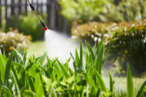 24/7 Emergency Termite Control experts in Lockwood, MT